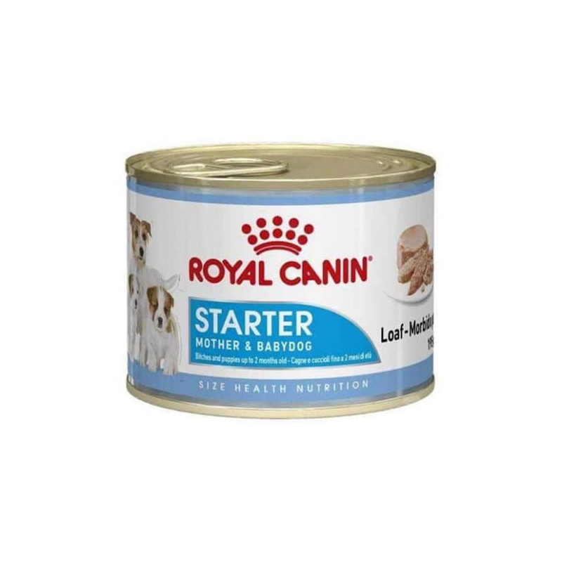 Starter mousse 195gr