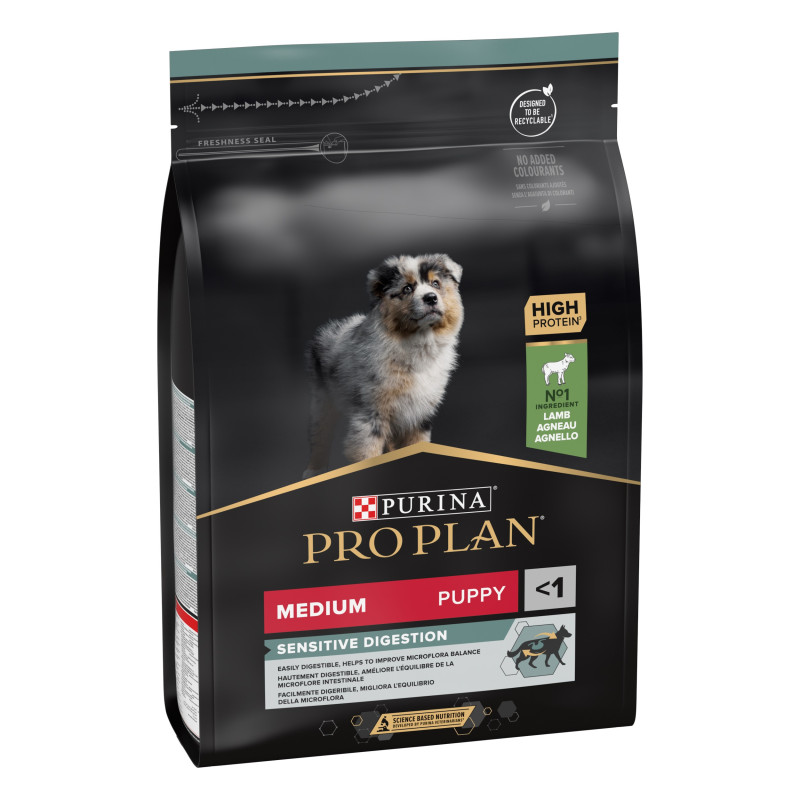 Medium junior agneau - Purina