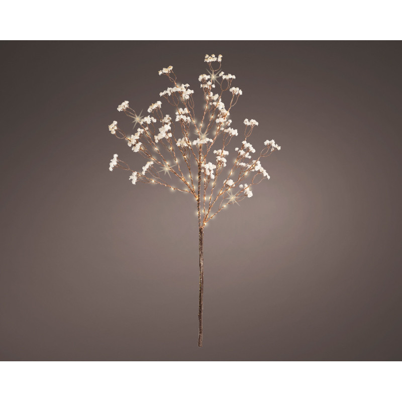 Branche fleurs blanches