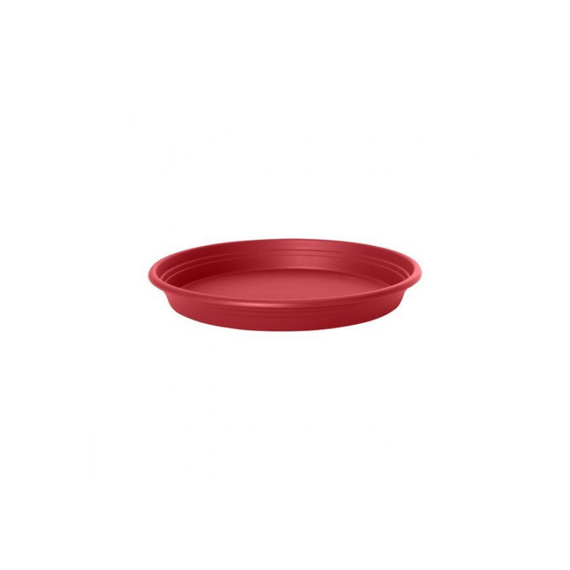Soucoupe ronde - Florus