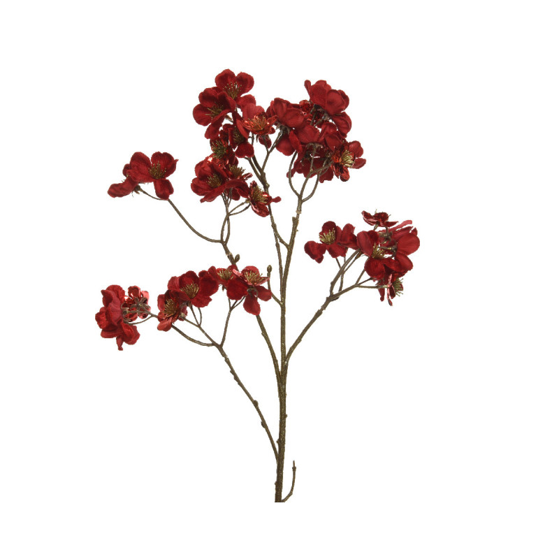 Branchage fleur de cornouiller