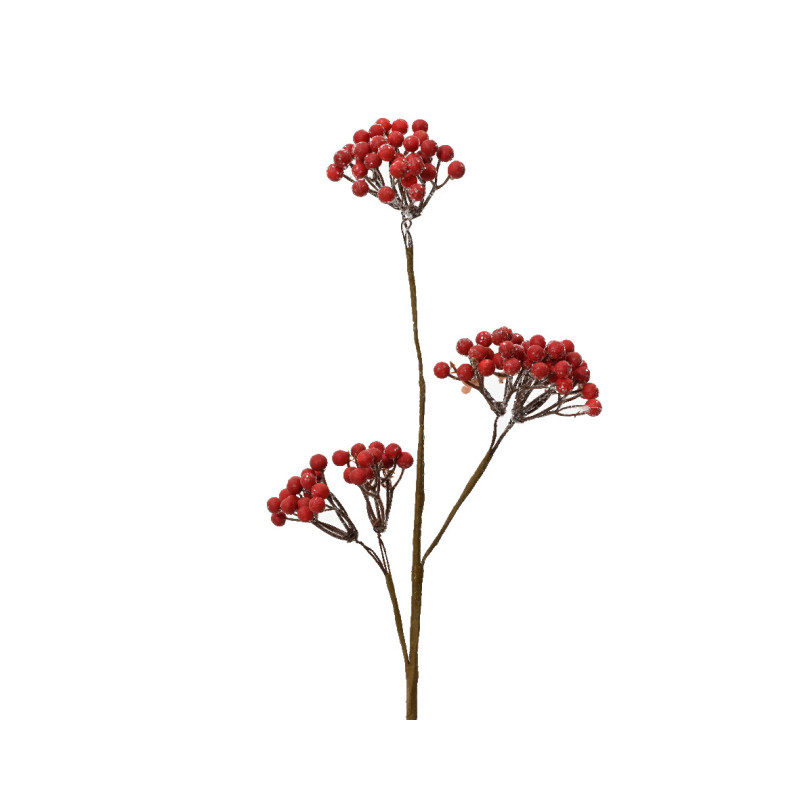 Branchage de baie rouges
