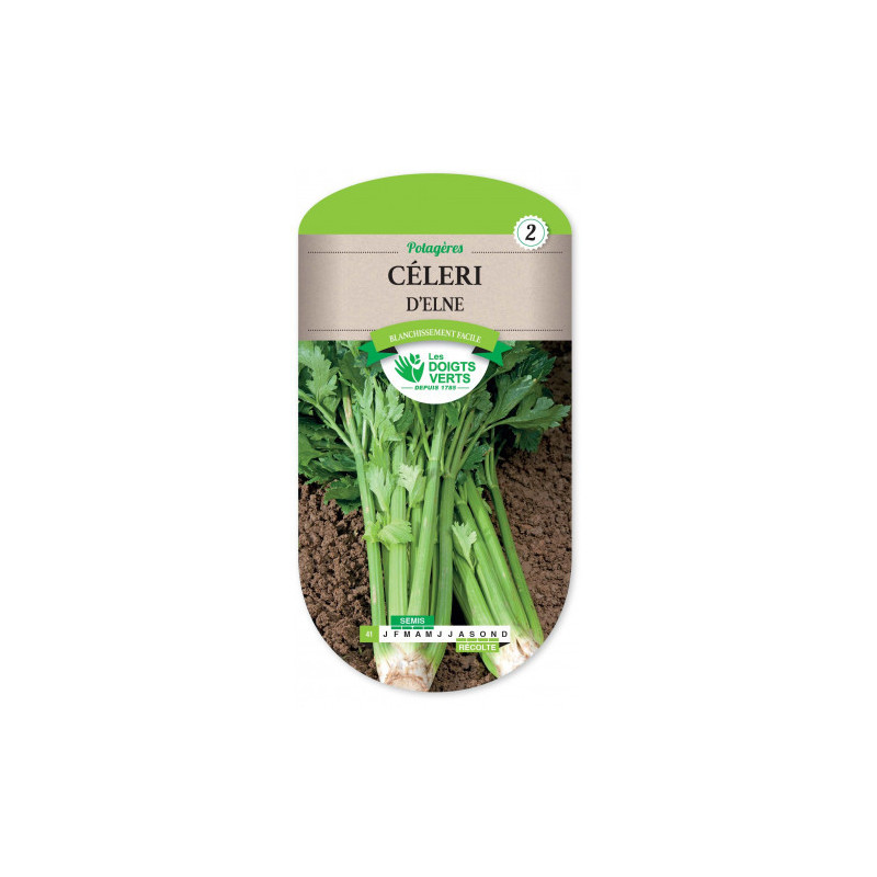 Céléri d'Elne - Les doigts verts