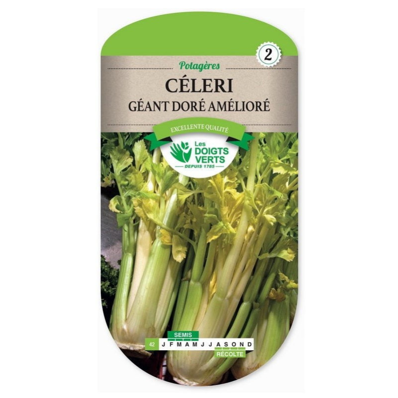 Céléri géant doré - Les doigts verts