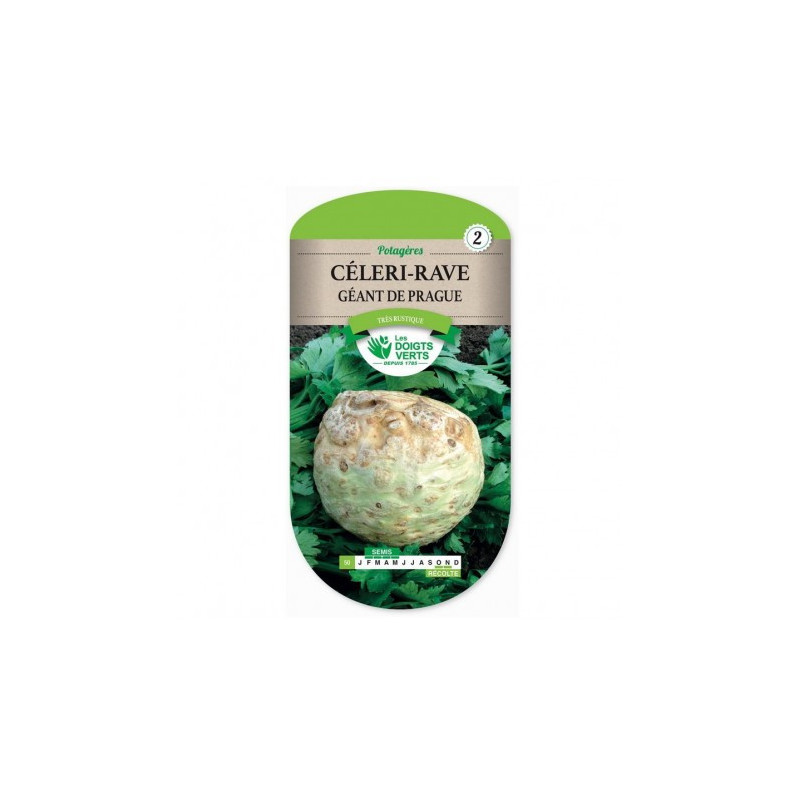 Céleri rave géant de Prague - Les doigts verts