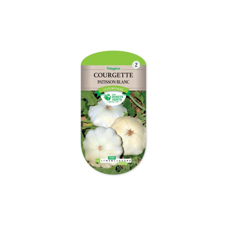 Courge patisson blanc - Les doigts verts