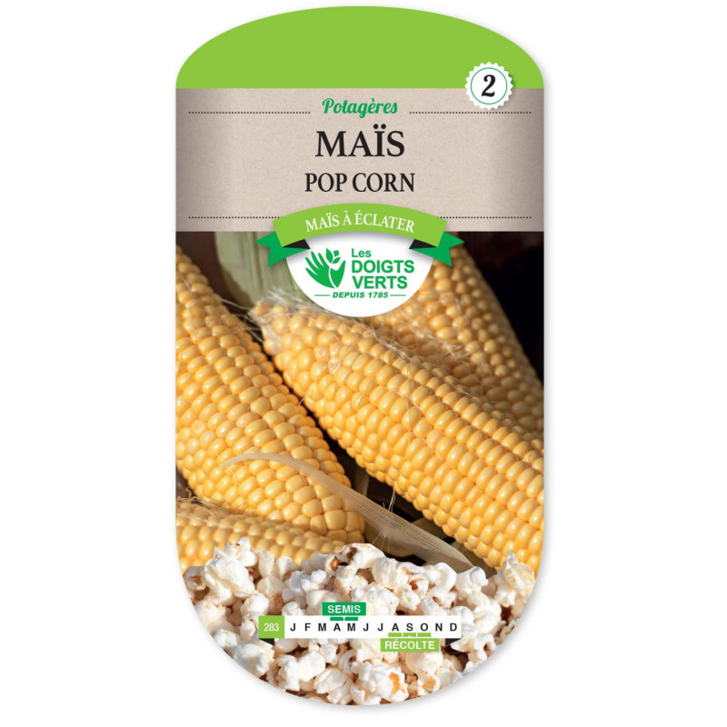 Maïs pop corn - Les doigts verts