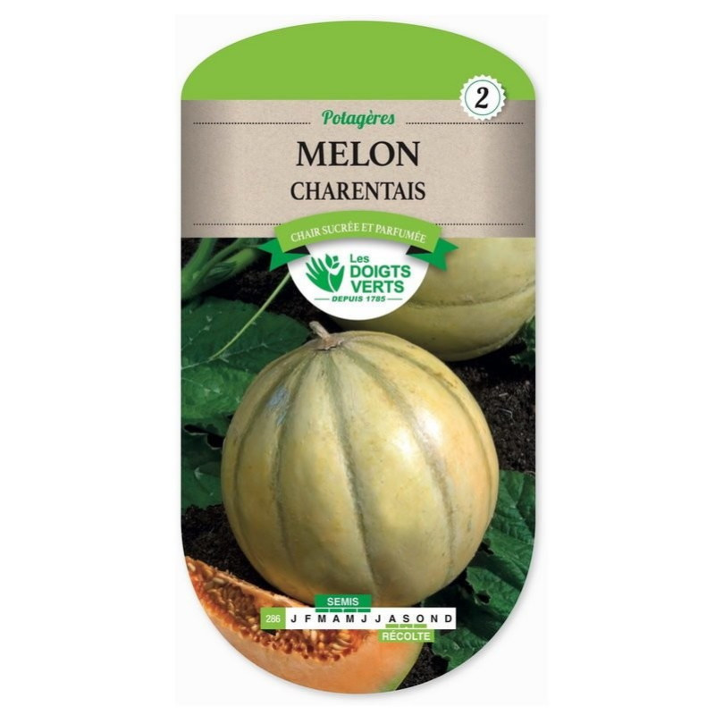 Melon charentais - Les doigts verts