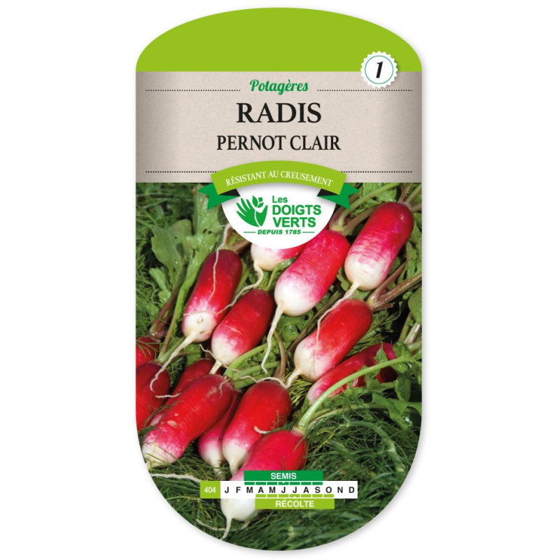 Radis pernot clair - Les doigts verts
