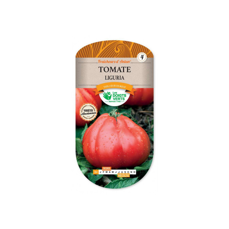 Tomate Liguria - Les doigts verts