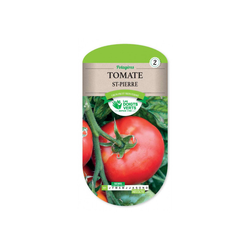 Tomate Saint Pierre - Les doigts verts