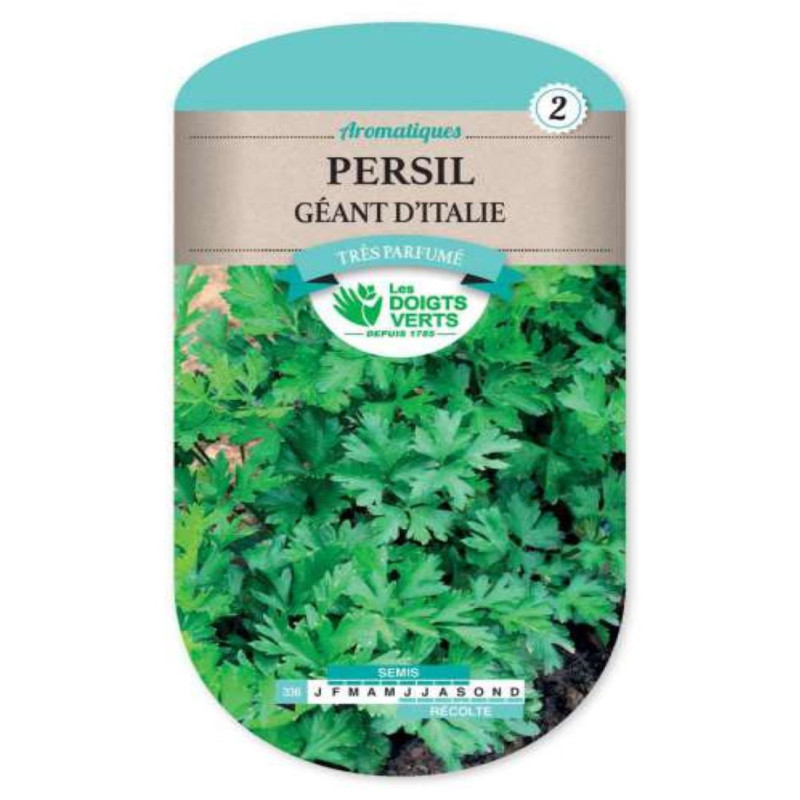Graine Persil Géant d'Italie