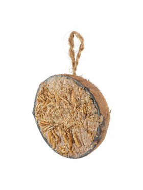 Demi coco de graisse avec vers de farine 200gr