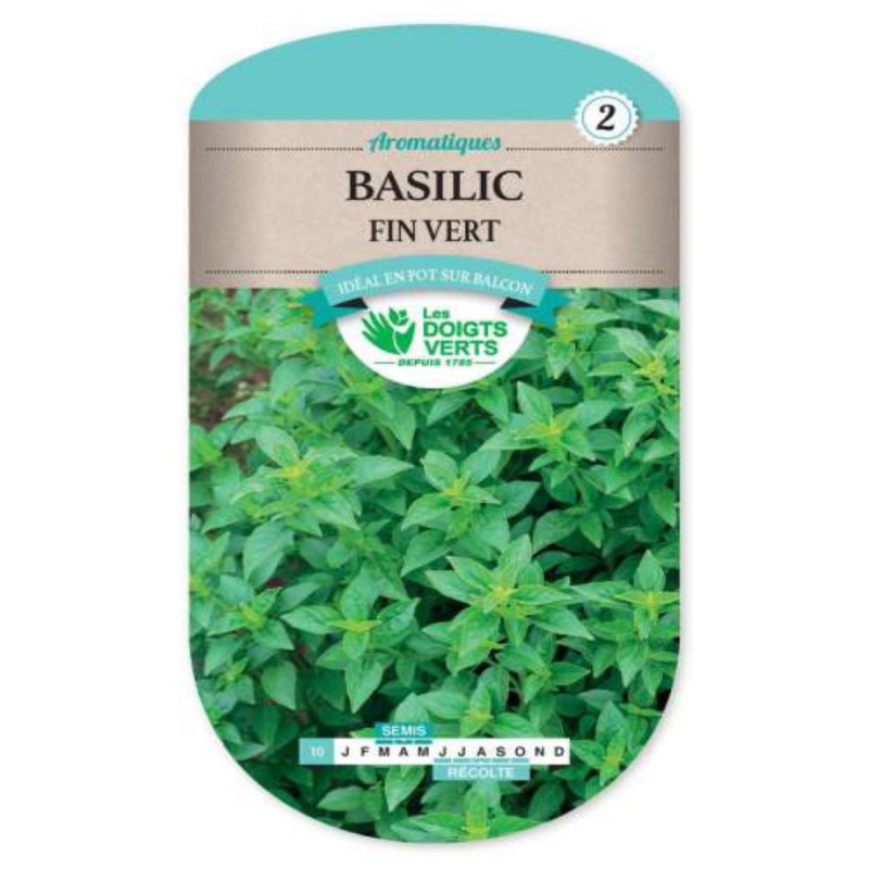 Graine Basilic fin vert