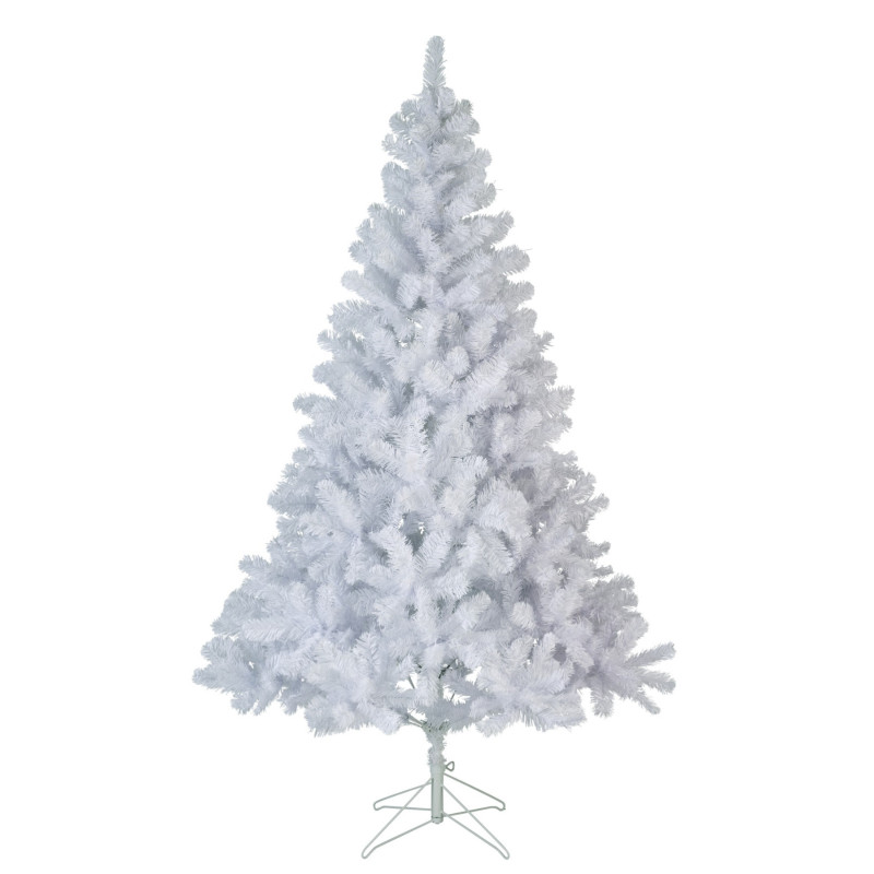 Sapin Impérial blanc