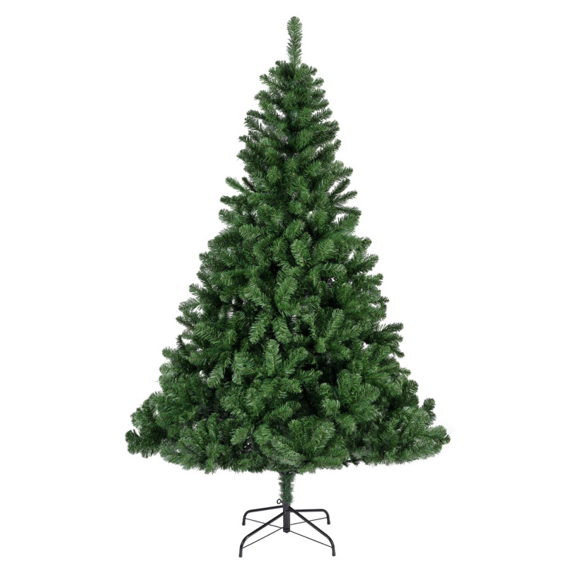 Sapin Impérial vert