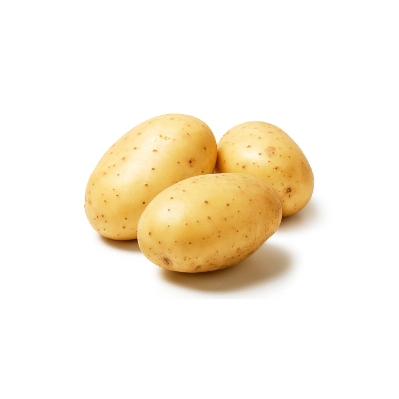 Pomme de terre Bintje