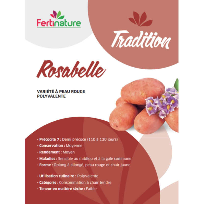 Pomme de terre Rosabelle