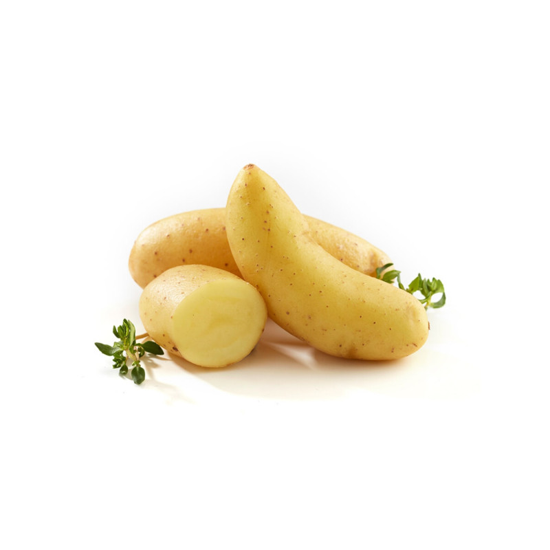 Pomme de terre Ratte