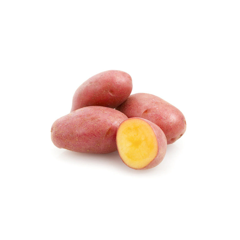 Pomme de terre Camel