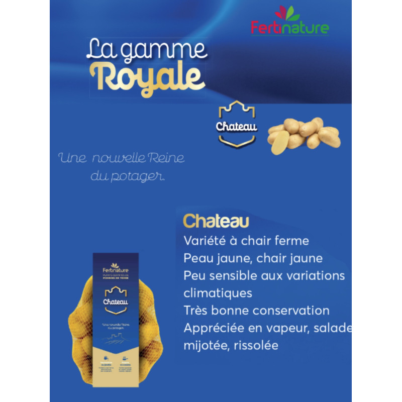 Pomme de terre Chateau