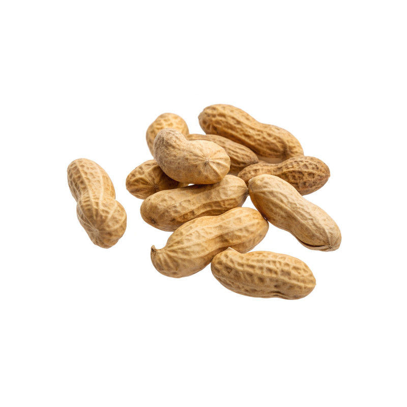 Graine d'arachide 50gr