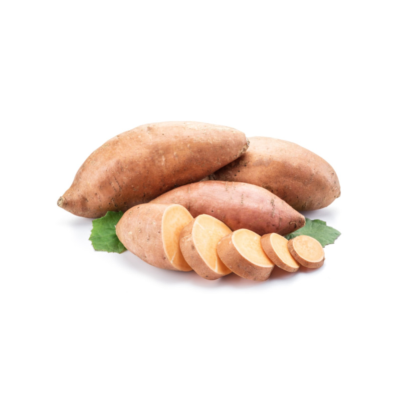 Patate douce 1 plant