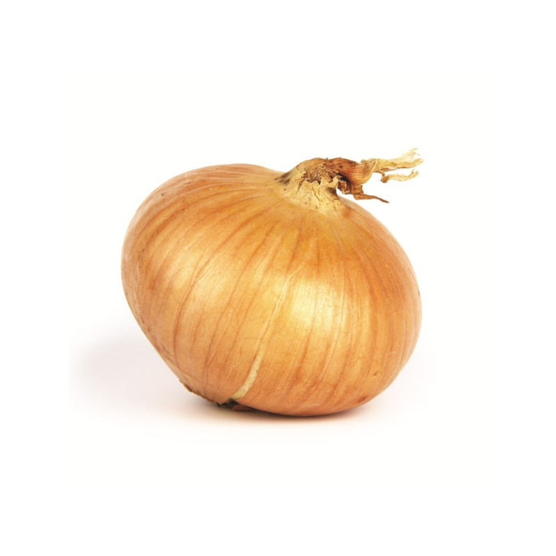 Oignon Paille des Vertus