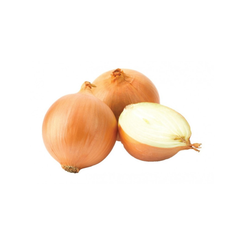 Oignon Sturon